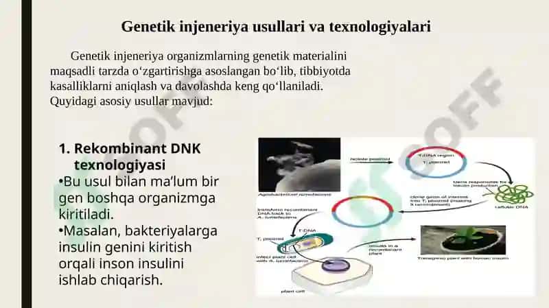 Gen injeneriyasi va uning meditsinadagi ahamiyati 4