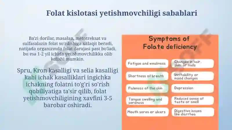 Folat kislotasining yetishmovchiligi 4
