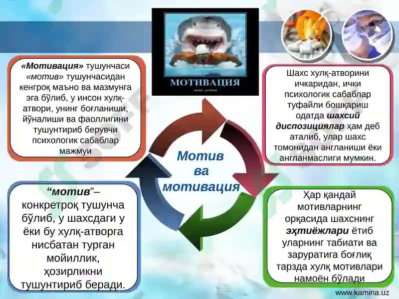 Мотивва мотивация 4