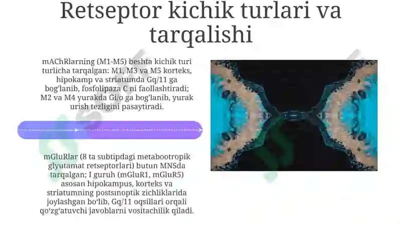Metabotrop retseptorlar 4
