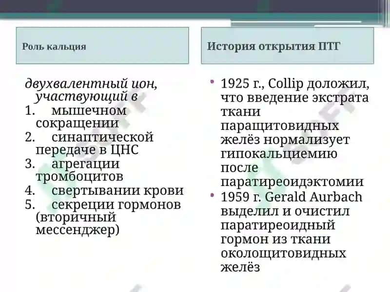 Заболевания паращитовидных желез. Гипер- и гипопаратиреоз. 4