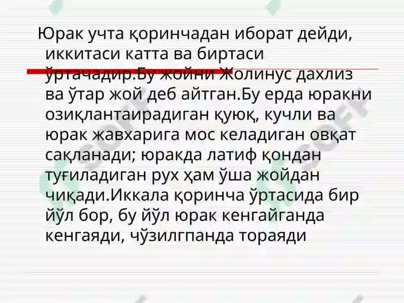 ЮРАК АНАТОМИЯСИ ВА НАБЗНИНГҲОСИЛМЕХАНИЗМИ 4