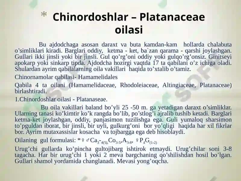 Temirdaraxt kabilarsinfchasi 4