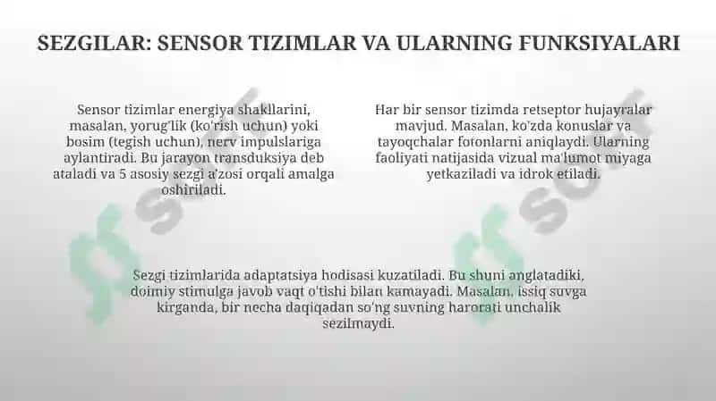 Diqqat, Sezgi, Idrok 4