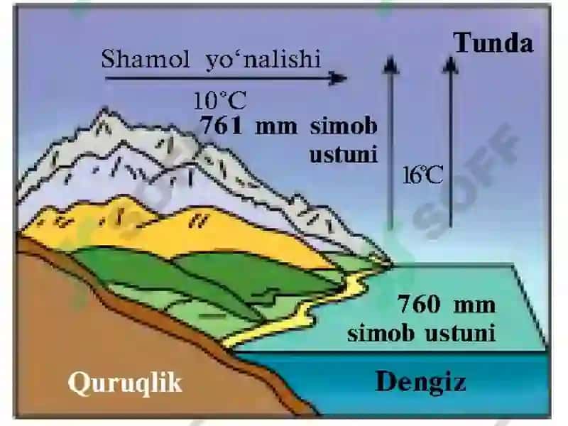 Shamollar va havo massalari. 4