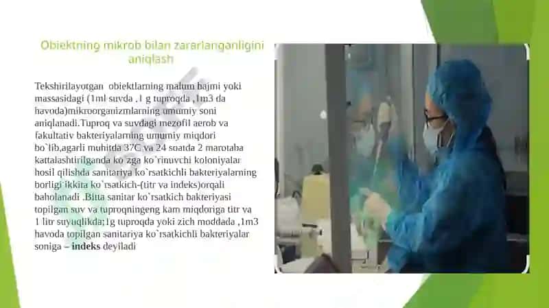 mustaqil ish mikrobiologiya 4