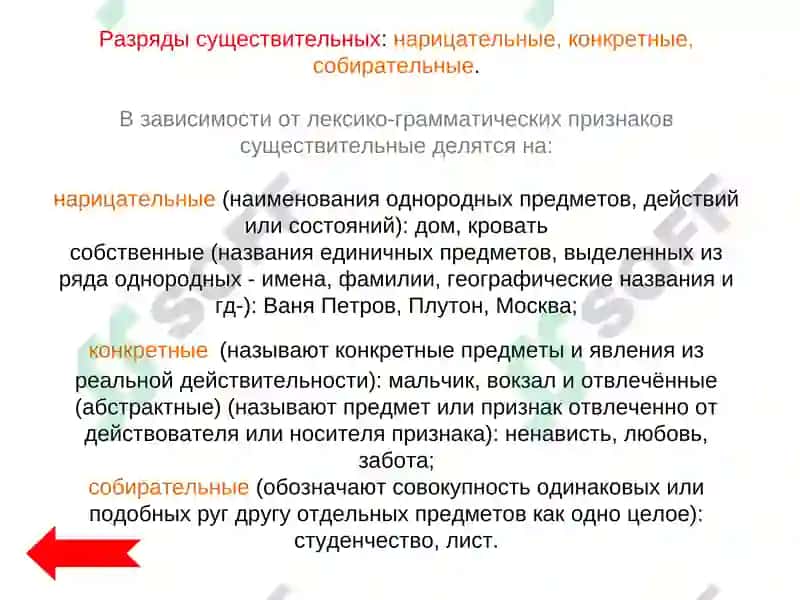 Имя существительное 4