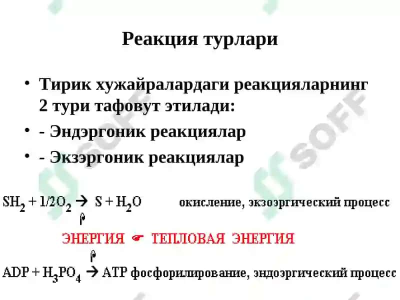 Биологик оксидланиш 4