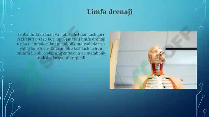 O'pkaning nafasga oid bo'lmagan funksiyalari 4