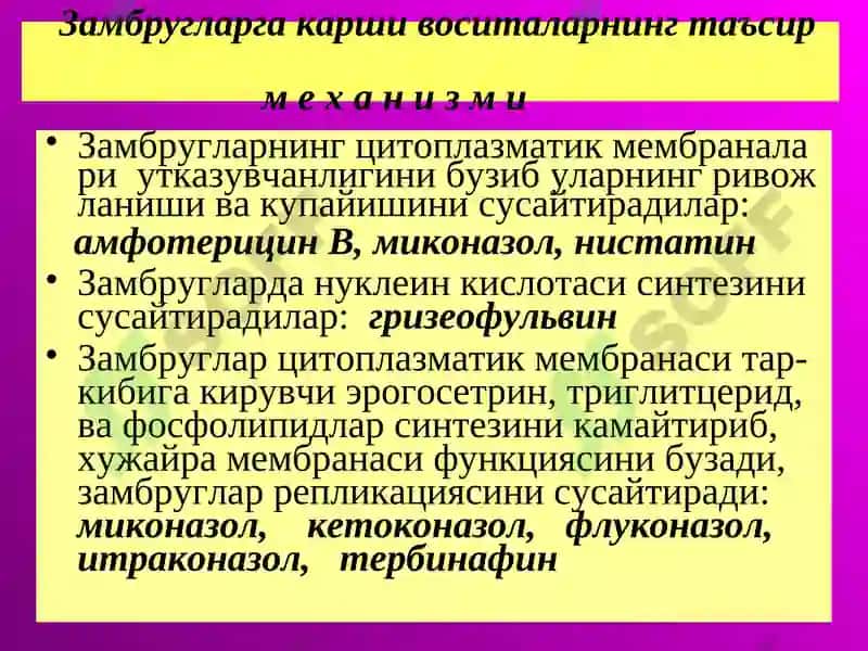 Замбругларга карши воситалар 4