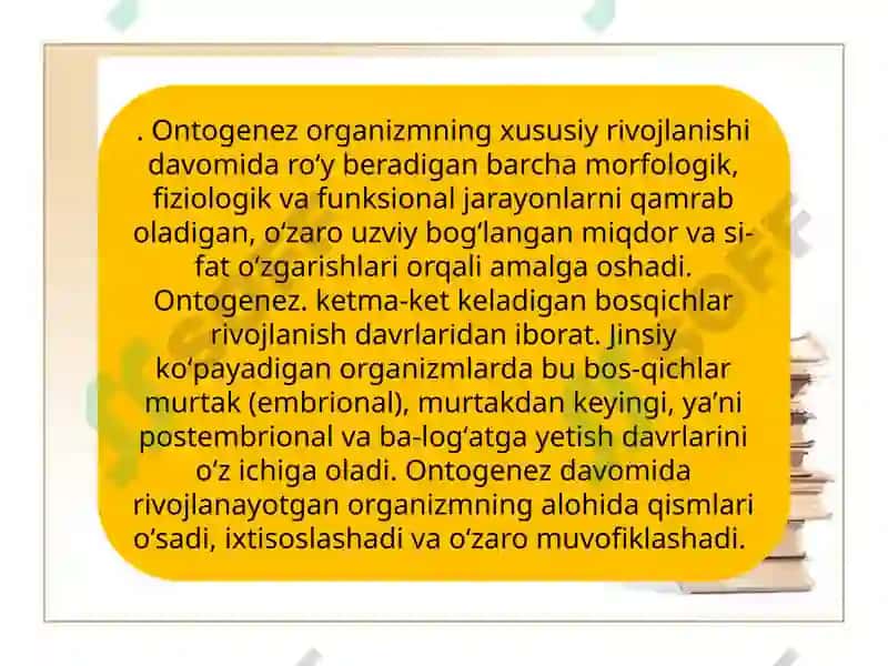 Ontogenezning ilk bosqichlari 4
