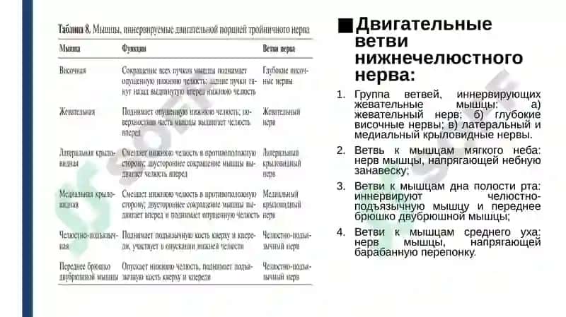 Тройничный нерв 4