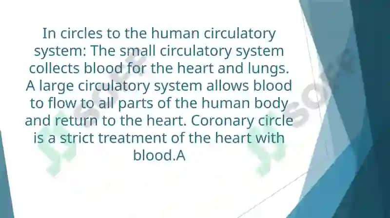 Heart and Vascular System 4