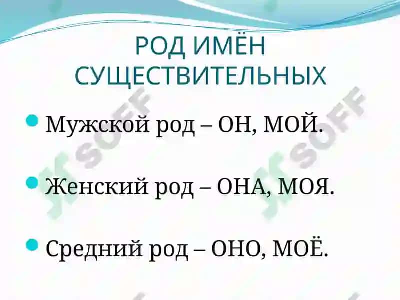 Имя существительное 4