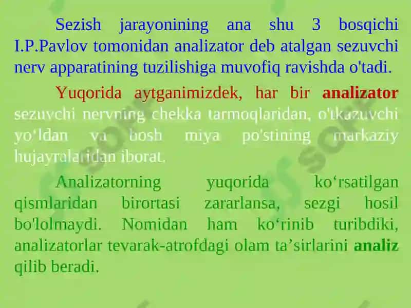 SEZGILAR TO'G'RISIDA UMUMIY TUSHUNCHA 4