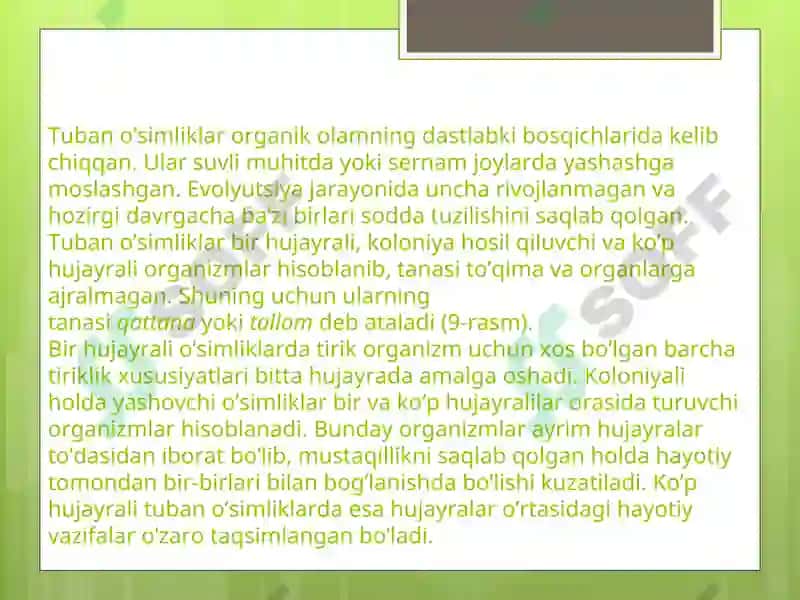 O`simliklar 4