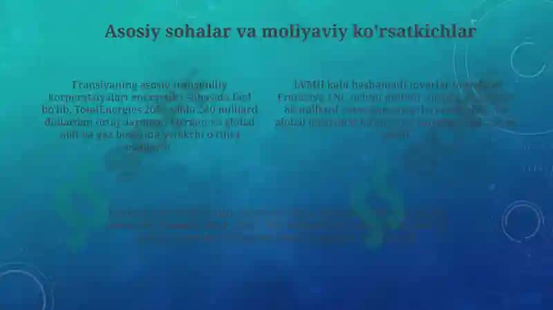 Fransiya Transmilliy korporatsiyasi 4