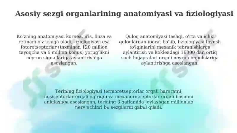 Sezgi organlarining ta'rifi va turlari 4