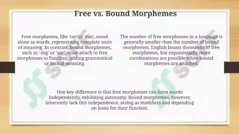 Types of morphemes 4