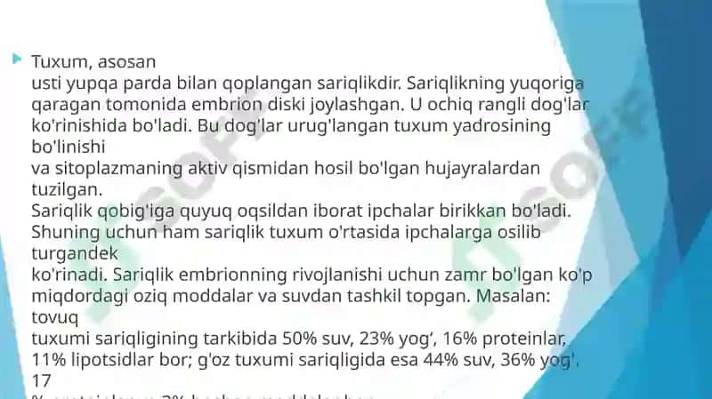 Tuxum hujayrasining qobiqlari, ularning shakllanishi 4