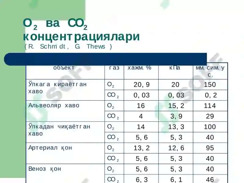 Ташқи нафастизими патофизиологияси 4