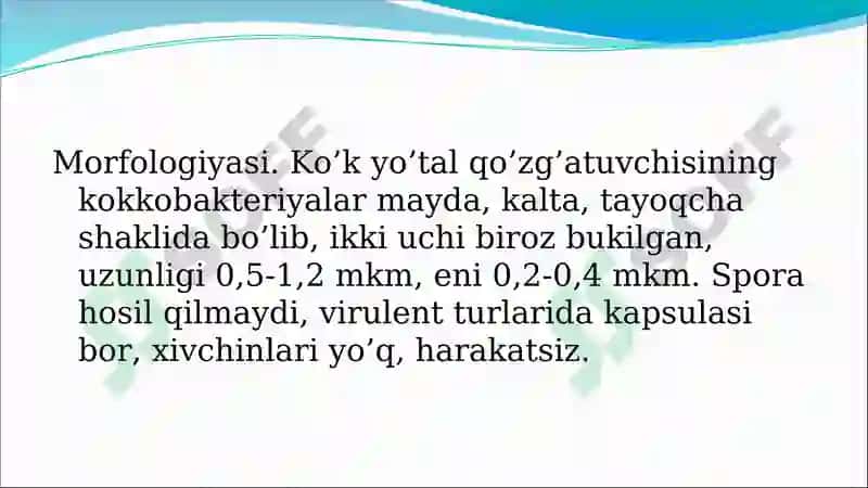 Havo-tomchi infektsiyalari qo’zg’atuvchilari 4
