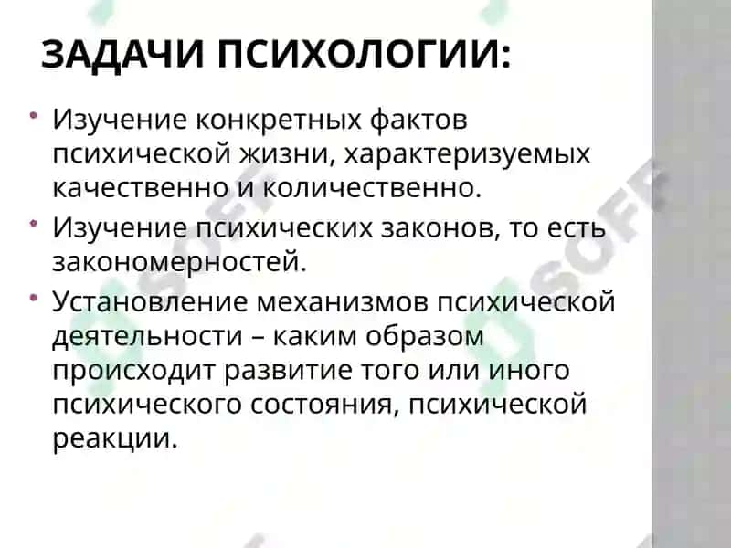 Психология 4