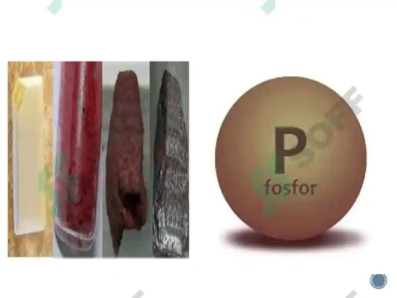Fosforlimoddalar 4