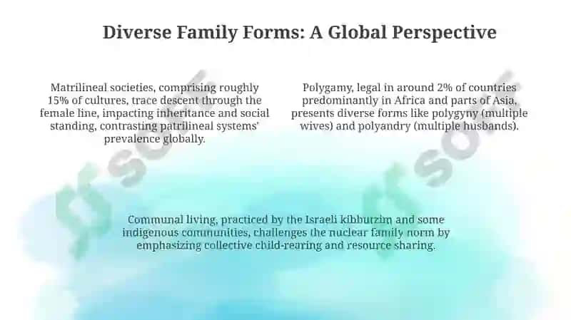 Understanding the Modern Family 4