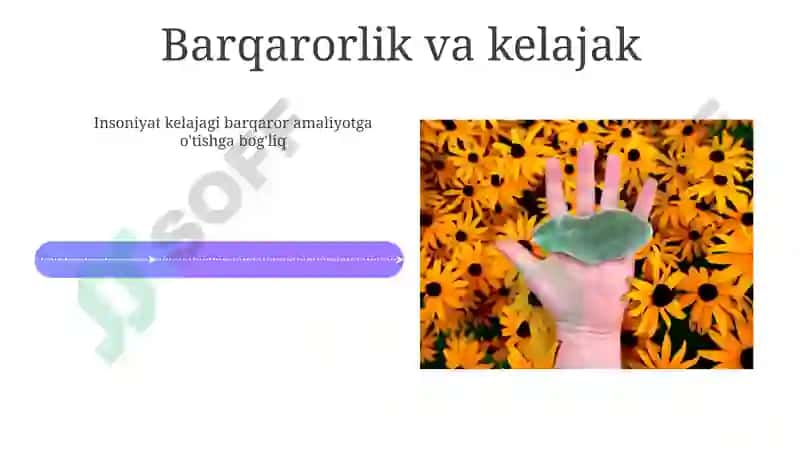 Экология и человек 4
