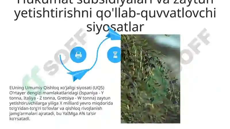 Zaytun yog'i bozori qiymati 4