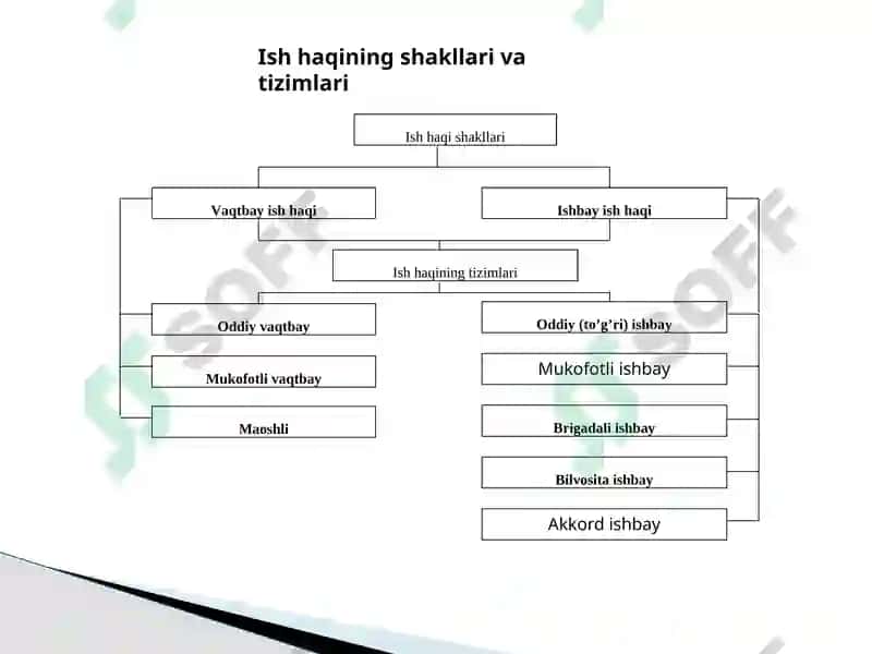 Mehnatga haq to’lashning shakllari va usullari 4