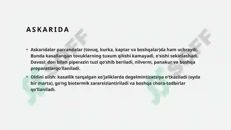 Yumaloq chuvalchanglar 4