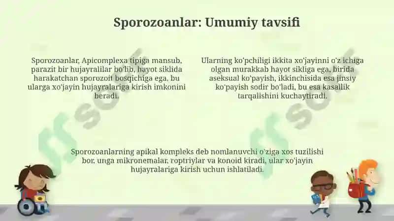 Sporalilar va So’rg’ichlilar sinfi 4
