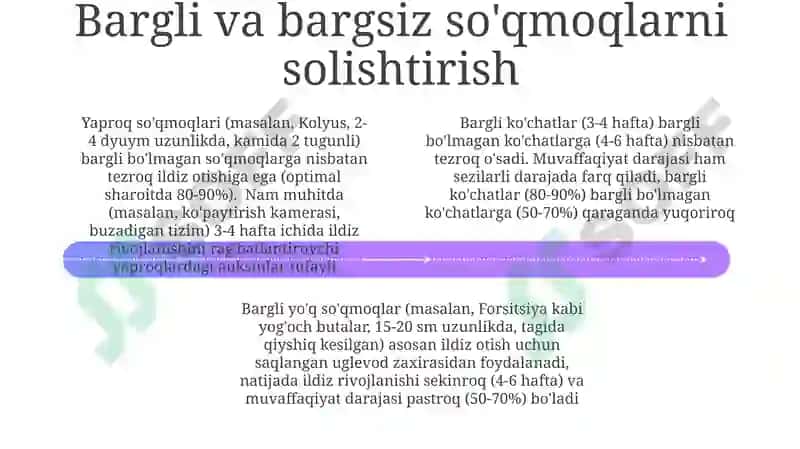Bargsiz qalamchalar tayyorlash 4