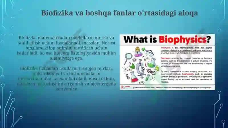 Biofizika fanining bo‘limlari 4