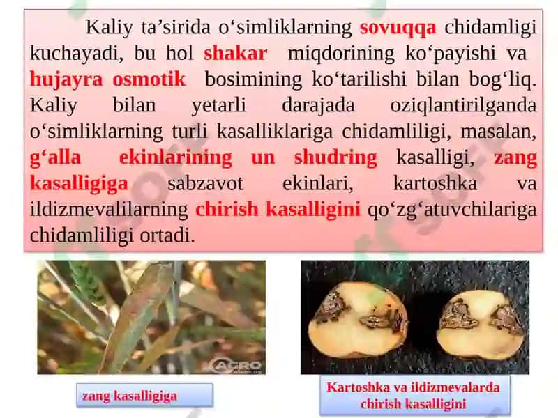 Kaliylivamurakkabo’g’itlar 4