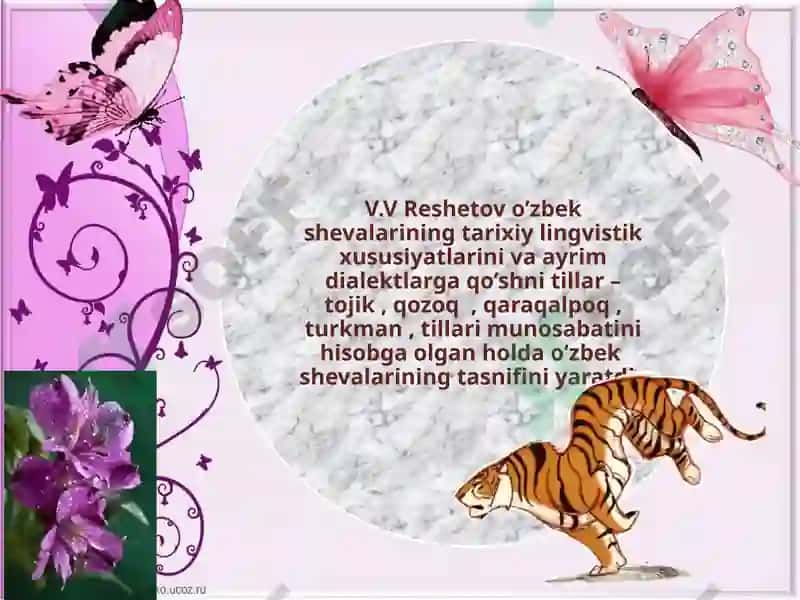 Professor Palivanov tasnifi 4
