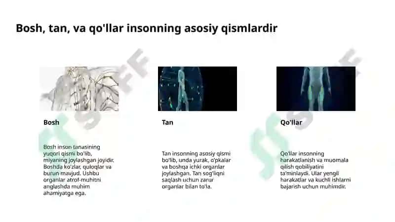 Lotin tili gaplarinining strukturasi 4