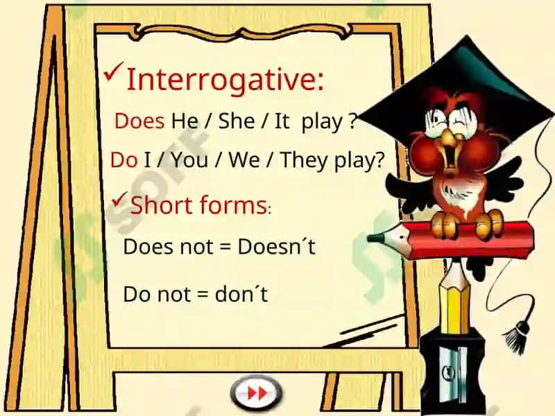 Grammar Study: Present Simple 4