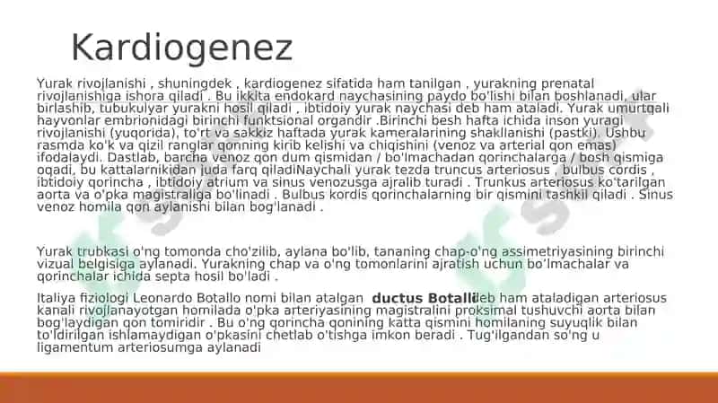 Yurak poroklari (nuqsonlari) 4