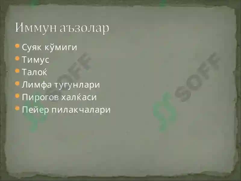 Иммун тизим патофизиологияси 4