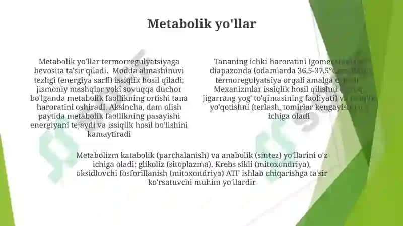 Metabolizm.Termoregulatsiya 4