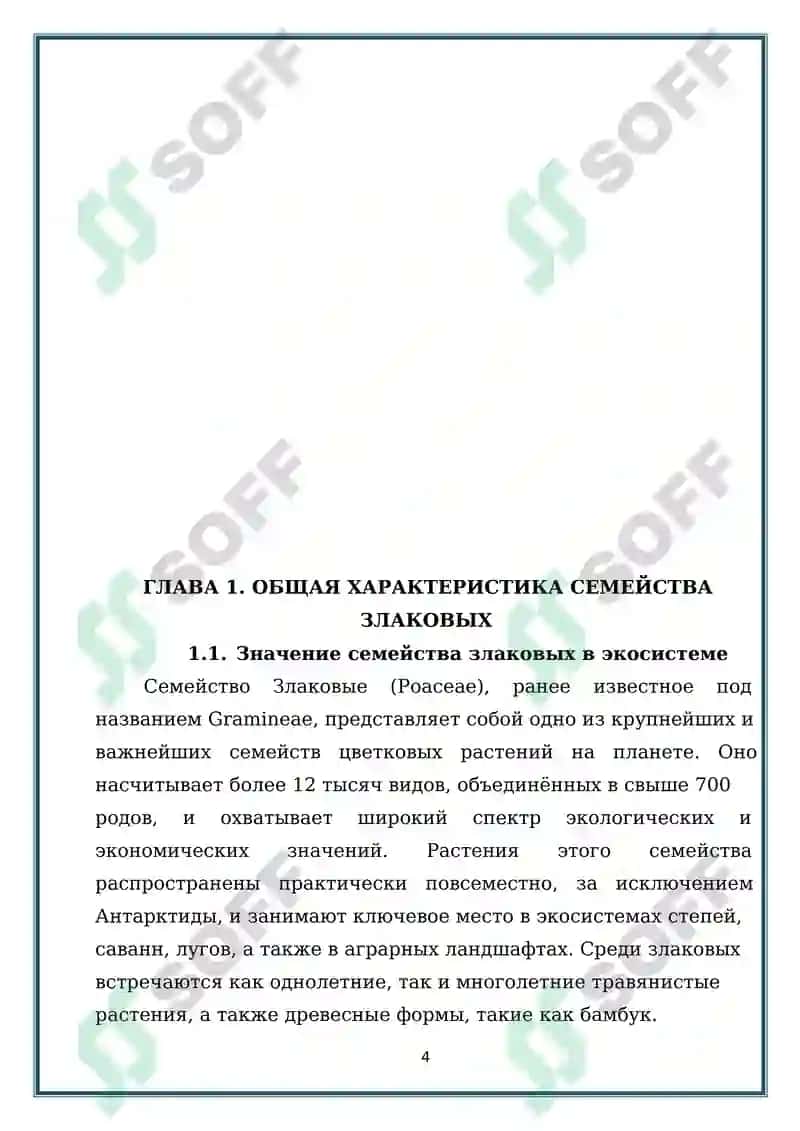 ПРЕДСТАВИТЕЛИ СЕМЕЙСТВА ЗЛАКОВЫХ (POACEAE) ПРОИЗРАСТАЮЩИЕ В ДИКОМ ВИДЕ 4