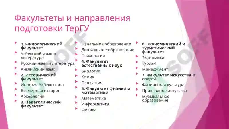 Термезский государственный университет 4