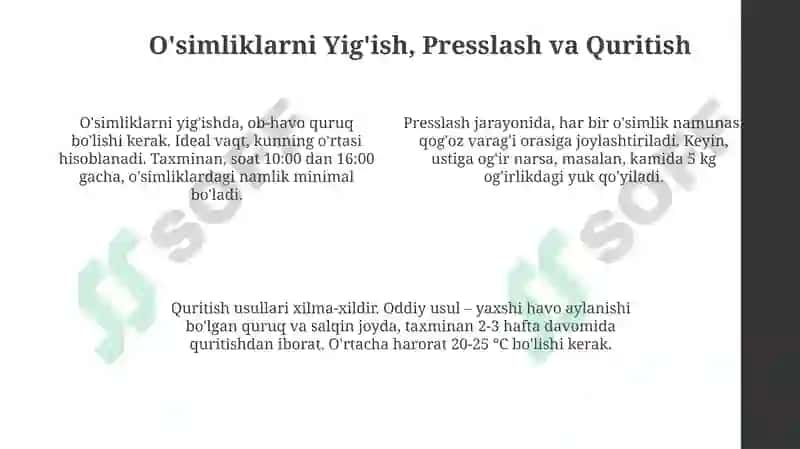 Gerbariy tayyorlash usullari 4