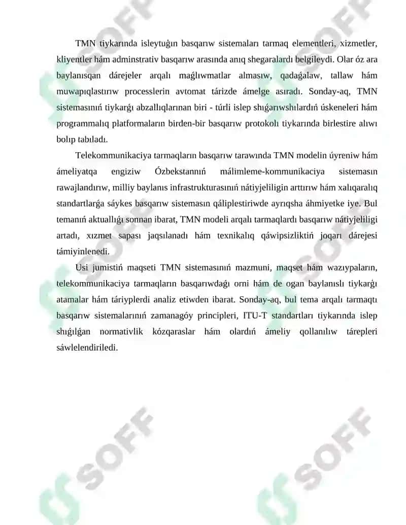 TMN (Telecommunication Management Network) sisteması 4