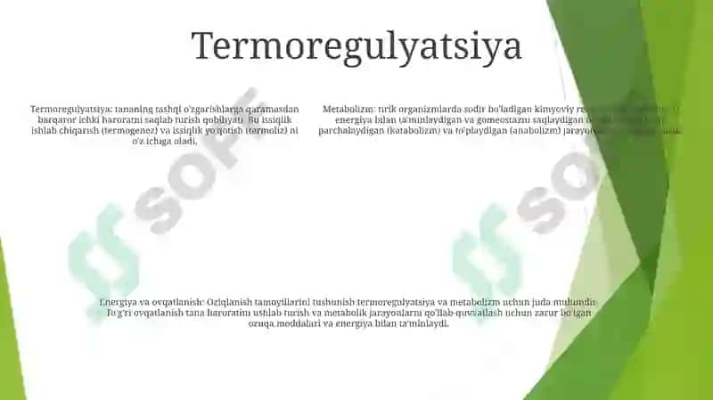 Metabolizm Va Energiyani OʻRganish.Termoregulatsiya.ToʻGʻRi Ovqatlanish Asoslari 4
