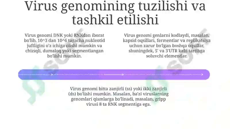 Viruslarning kimyoviy tarkibi 4
