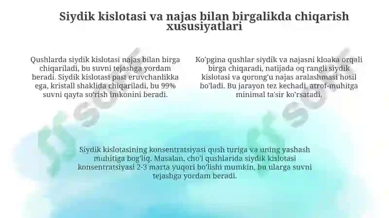 Parandalarda siydik ajralishi 4